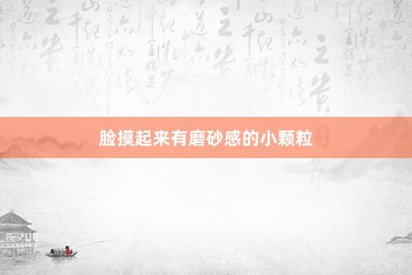 脸摸起来有磨砂感的小颗粒